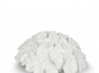 AK.P356.370091 Beyaz Mercan Resin Obje 22x22x11cm